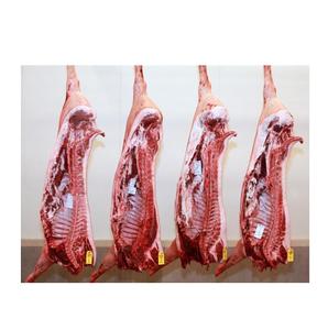 Carcasse de porc congelée de qualité supérieure - Vente en gros de viande de porc congelée de Belgique au meilleur prix - Product Image 4
