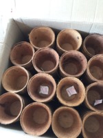Mini pot en fibre de coco fabriqué au Vietnam 100% pot en fibre de coco en matériau naturel pour fleurs du Vietnam