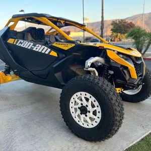 Vehículo utilitario Can-Am Maverick R X - Product Image 1
