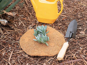 Anillos de protección de árbol redondo orgánico, estera de fibra de coco, control de prevención de maleza, listo para la exportación, venta al por mayor - Product Image 4