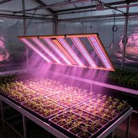Lampe de culture LED professionnelle à double canal avec barres lumineuses séparables et détachables pour serre hydroponique de légumes