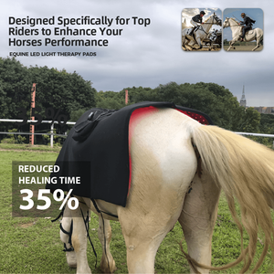 Alat Terapi Cahaya Merah Portabel SunPlus untuk Punggung Kuda 660Nm 850Nm Terapi Cahaya Inframerah Selimut Kuda Alas Terapi yang Dapat Dipakai untuk Kuda - Product Image 5