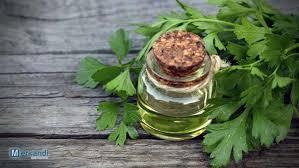 Vente en gros d'huile de feuille de persil 100% pure de haute qualité Fabricant d'huile de persil 100% pure et naturelle Meilleure huile de feuille de persil en INDE - Product Image 4