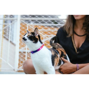 Prism <b>Pet</b> <b>Collar</b> for Dogs Modern Striped Design Breakaway Classic Western Nylon Polyester Solid Striped for Day Night Use - Product Image 3