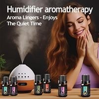 Ensemble d'huiles essentielles OEM, huiles végétales biologiques, mélange de parfums naturels sucrés, prêt à diffuser, ensemble cadeau d'aromathérapie, 6/8/10/12/16/18/20 pièces