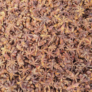 Anis étoilé vietnamien de qualité supérieure séché Premium en gros toutes qualités 5% 10% 100% anis étoilé cassé - Product Image 5