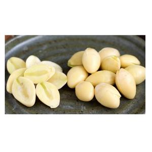 Stock en vrac disponible de noix de Ginkgo biologiques séchées aux prix les plus bas - Product Image 5