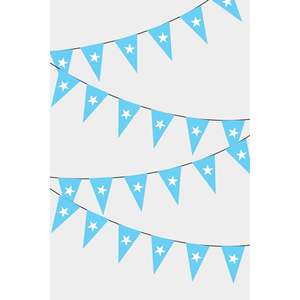 Somali Triangular Flag <b>Banners</b> for Party Decorations - Product Image 1