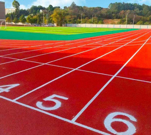 Pista Híbrida de Gránulos de Caucho INOLP Ecológica, Antideslizante, Resistente al Desgaste y Absorbente de Impactos para Instalaciones Deportivas Interiores/Exteriores - Product Image 1