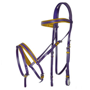 Cabestro ecuestre de PVC para montar a caballo, brocas de acero inoxidable, brida y cabestro para caballo - Product Image 3