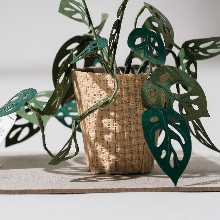 เป็นภาพ