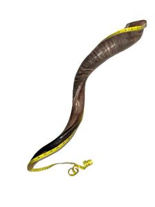RAM sừng shofar đánh bóng hoặc mùi tự nhiên miễn phí handmade judaica cho Rosh hashanah & yom kippur - Product Image 2