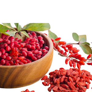 Aceite Portador de Semillas de Goji Prensado en Frío con Certificación GMP Natural para el Cuidado de la Piel y la Belleza Aceite Facial Compra al por Mayor - Product Image 6