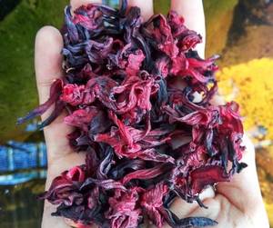 Flores de hibisco secas de alta calidad de Vietnam para tiendas de té y menús de cafeterías, con un sabor y aroma naturalmente ácido. - Product Image 1