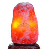 Lampe de sel de l'Himalaya sculptée de style Feng Shui - Qualité supérieure, lampe de table purifiante d'air, multicolore, certifiée ISO