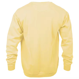 Vêtements professionnels en gros dernier Style hommes polaire pull à capuche mode décontractée 100% coton coupe régulière brodé - Product Image 2