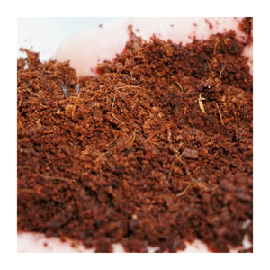 L'améliorateur de sol de tourbe de coco retient l'humidité et améliore la structure du sol pour une agriculture durable-Coco Peat from Viet Nam - Product Image 6