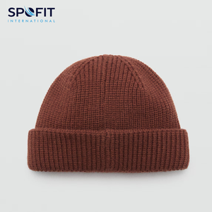 Unisex High Quality 100% Cotton Jacquard Beanie Customized Digital Puff Printing Logo <b>Winter</b> Warm Beach Streetwear Low Price - Product Image 3