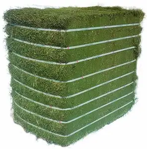 Best animal feeds for horse and other animals | Buy alfalfa hay in bulk