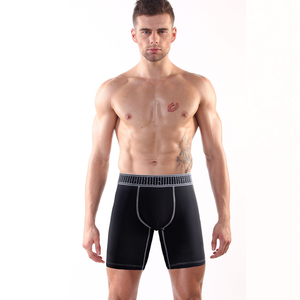 Calzoncillos bóxer deportivos de alta calidad, Calzoncillos Bóxer elásticos de nailon de 8 pulgadas, ropa interior para hombre, ropa interior para hombre, envío DDP - Product Image 5