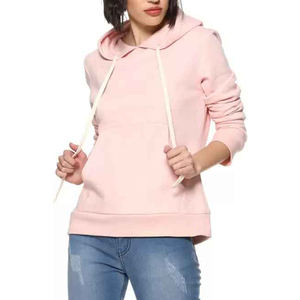 Alta calidad 3D Puff estampado 300 500 Gsm peso pesado algodón de gran tamaño grueso Sudadera con capucha logotipo personalizado bordado lujo sudaderas con capucha mujeres - Product Image 1