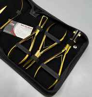 Kit d'outils Micro-lien de qualité supérieure Pince à extensions de cheveux en couleur or avec étui Logo personnalisé Extensions boucle de traction de cheveux