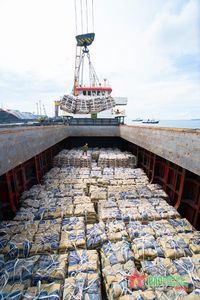 CEM II 52.5N - Vietnam ปูนซีเมนต์ปอร์ตแลนด์ราคาถูกประสิทธิภาพดีและสามารถสร้างแบรนด์ OEM สำหรับการสร้างผนัง - Product Image 3