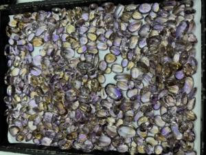 Pierres précieuses naturelles à facettes en vrac Bio amétrine de qualité commerciale disponible en coussin coeur poire coupe changement de couleur effets optiques - Product Image 3