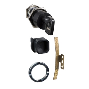 Per SCHNEIDER ELECTRIC LV864909SP: Kit di adattamento per bloccaggio telaio quadri elettrici MV&HV con 1 blocco Profalux e 2 chiavi, per ricambi MTZ1 - Product Image 1