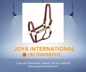 Halter professionnel en cuir avec plaque licou de cheval licou de cheval western avec peu plié - Product Image 2