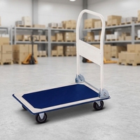 Chariot à plateforme pliable industriel de 150 kg, chariot à main robuste à plateau plat, chariot de manutention pour entrepôt, couleur personnalisée
