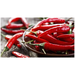 Chiles Rojos Secos Enteros Crudos de Grado Alimenticio, Aroma Intenso y Sabor Rico, 25 KG a Granel de la India - Product Image 4