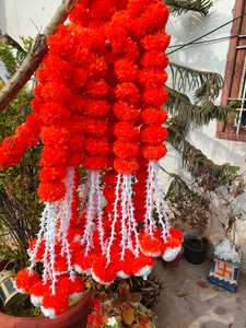 Guirnalda de flores de caléndula hecha a mano con cuerdas de rosas de tubo para decoración de bodas, decoración de fiestas, decoración de eventos envío gratis - Product Image 2