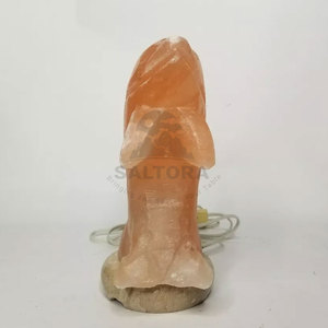 Servicios OEM Lámpara de sal en forma de delfín Precio superior Lámpara de sal en forma de delfín para venta en línea Hecho Pakistán - Product Image 5