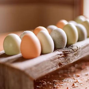 SUPPORT D'OEUF EN BOIS MIGNON DE HAUTE QUALITÉ POUR LA CUISINE DE FERME et le plateau d'oeufs de cuisine d'utilisation du marché pour le coffre-fort d'oeufs de Keed - Product Image 1