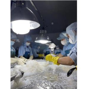 Usine directe naturelle Nata De Coco Cube coupe 3mm ou taille personnalisée coupe prix raisonnable gelée de noix de coco saine pour pouding - Product Image 2