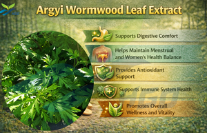 HGO Fournisseur direct d'extrait de feuilles d'armoise pure naturelle de qualité alimentaire, spécifications 5:1 10:1 20:1 - Product Image 5