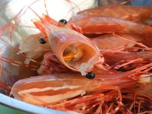 Jouets à mâcher de coquille de crevette naturelle vietnamienne pour animaux de compagnie - Product Image 5