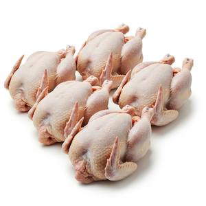 ไก่ทั้งก้อนแบบพรีเมี่ยมเกรดฮาลาลทำความสะอาดด้วยมือพร้อมปรุงเพื่อส่งออก - Product Image 5