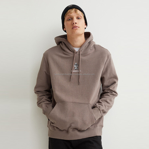 Sweat à capuche surdimensionné pour hommes de haute qualité 480 Gsm 100% coton Style Hip Hop pour sweat-shirt imprimé bouffant pour l'hiver personnalisable - Product Image 3