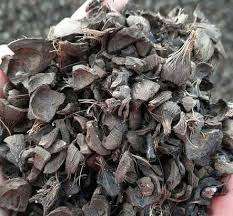 Carburant de biomasse des prix bon marché/coquille de noyau de paume pour la combustion - Product Image 5