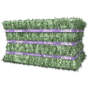 Best Supplier Alfalfa Hay / Alfalfa Hay Animal Feed / Premium Alfalfa Hay in bales For Sale