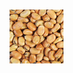 Modified Starch for Snack Horse <b>Beans</b> Mocha Edible Pearl for Sale Wholesale Fava <b>Bean</b> - Product Image 6