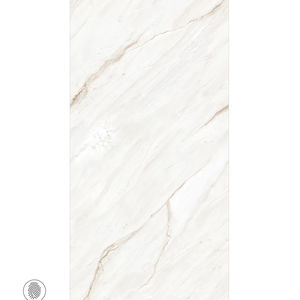 Baldosas de pared de porcelana sin fin brillante de primera calidad 600x1200 | Azulejos pulidos de gran formato 24x48 Colección de calidad de exportación duradera - Product Image 1