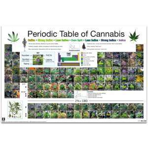 Variétés de fibres de chanvre Tableau périodique des sous-variations de cannabis - Product Image 1