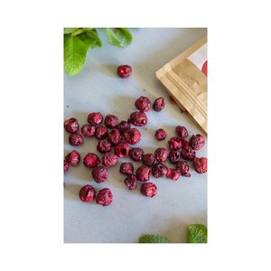 Cerezas secas disponibles para adquisición al por mayor de calidad premium - Product Image 3