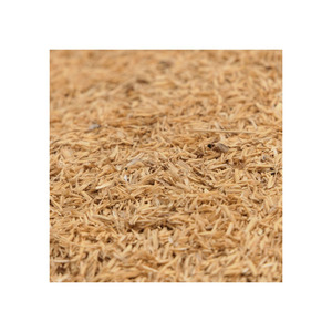 Semillas de mostaza amarilla de salvado de arroz de grano puro de calidad fresca última llegada alimentación animal para ganado semillas de mostaza de alta calidad - Product Image 1