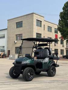 Carrito de Golf Eléctrico EcoRider de 4 Plazas, Alta Velocidad, Batería de Litio de 48V, Certificado CE, para Resorts de Golf y Transporte Urbano - Product Image 5
