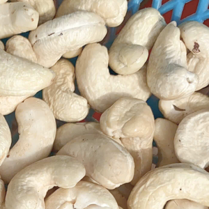 เม็ดมะม่วงหิมพานต์ WW240เม็ดมะม่วงหิมพานต์ WW320 WW180เม็ดมะม่วงหิมพานต์ W180เม็ดมะม่วงหิมพานต์แบบสั้น - Product Image 1