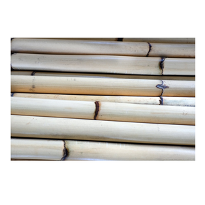 Mejor Precio en Singapur, Material de Ratán de Raíz de Bambú de Alta Calidad y Larga Duración, 3m 4m, para Muebles y Agricultura - Product Image 1